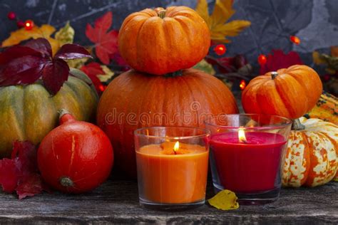 Fall harvest of pumpkins stock image. Image of space - 123084337