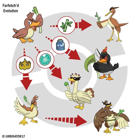 Farfetch'd Evolution by Urbinator17 on DeviantArt