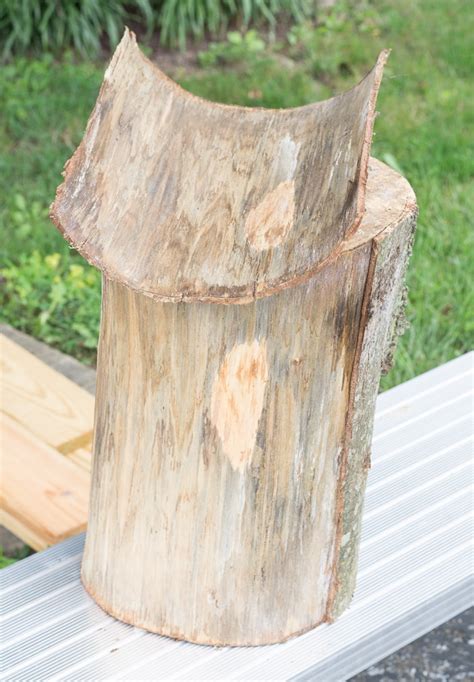 Make a Tree Stump Side Table