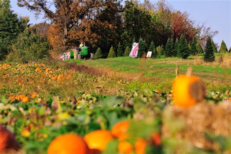 Maize Valley Fall Festival Hartville Ohio