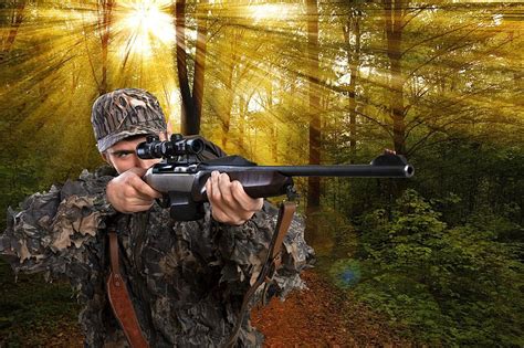 What do New York Gun Law Changes Mean for Hunting Season?