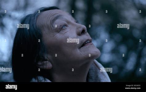 FALLS AROUND HER, Tantoo Cardinal, 2018. © Samuel Goldwyn Films /Courtesy Everett Collection ...