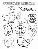 Wild Animals Coloring Pages To Download sketch template