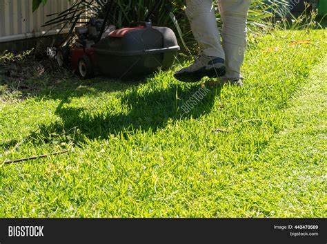 Lawn Mowing Backyard Image & Photo (Free Trial) | Bigstock