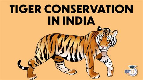 Tiger Conservation in India