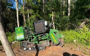 Tree Stump Removal - Machine Hire vs. a Professional