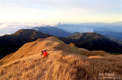 Mt. Pulag and the Sea of Clouds