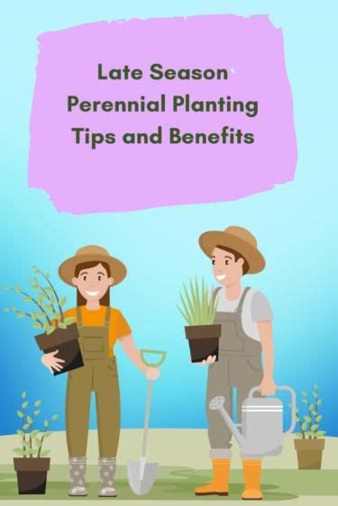 Late Season Perennial Planting: Tips and Benefits