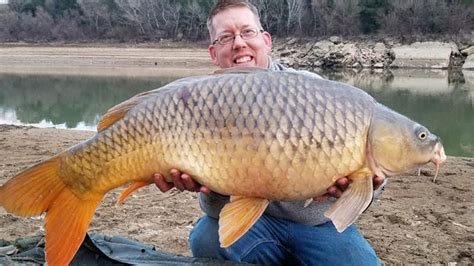 Carp Fishing in Spain - Catching Carp on the Ebro River - Guided Carp Fishing Trip - YouTube