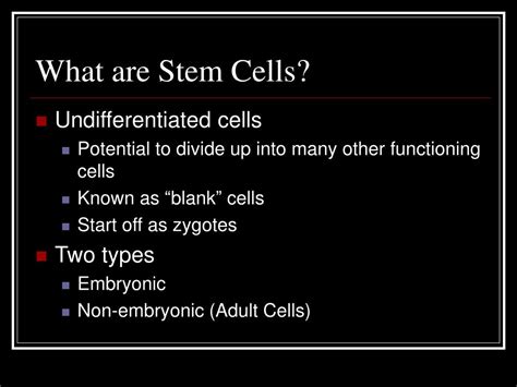 PPT - The Ethics of Stem Cell Research PowerPoint Presentation, free ...