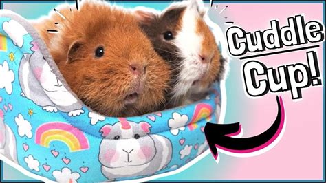 How to Make Your Own Guinea Pig Cuddle Cup Beds: Tutorial and Sewing ...