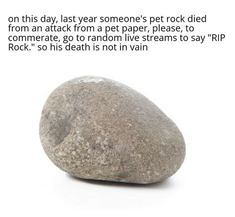 My pet rock died : r/memes