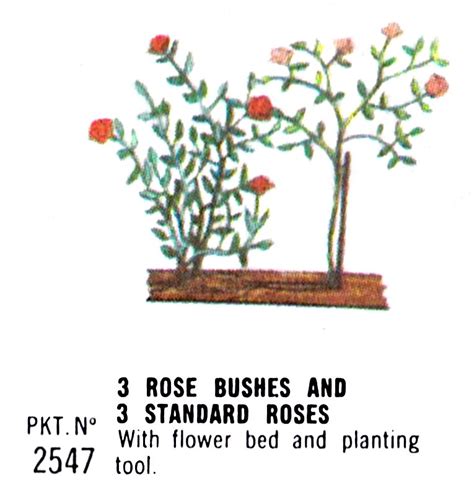 File:Rose Bushes and Standard Roses, Britains Floral Garden 2547 ...