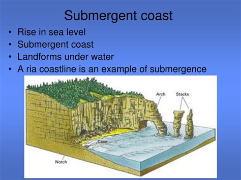 PPT - Types of Coastline PowerPoint Presentation, free download - ID:9567000