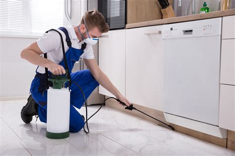 Residential Pest Control | Salt Lake City, Utah | Bug Busters