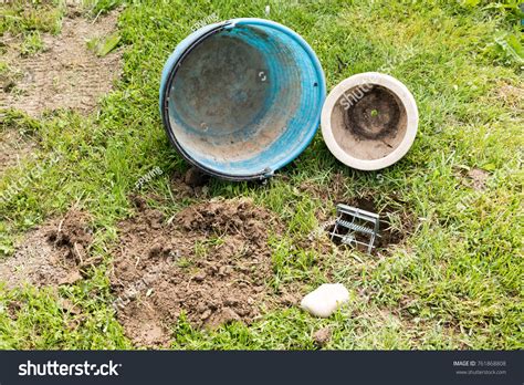 Trap Moles View Stock Photo 761868808 | Shutterstock