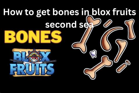 How To Get Bones In Blox Fruits Second Sea? - The Nature Hero