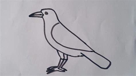 How to draw a Crow/easy and simple drawing step by step/Crow drawing ...