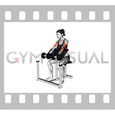 Dumbbell Preacher Curl (female)