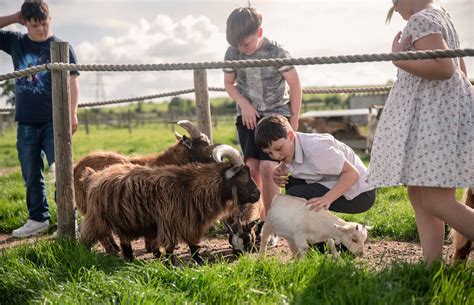 Explore | Hogshaw Farm & Wildlife Park