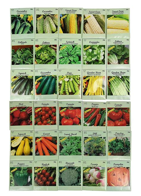 Set of 30 Pack Vegetable Seeds! 30 Varieties! Create a Deluxe Garden! All Seeds are Heirloom ...