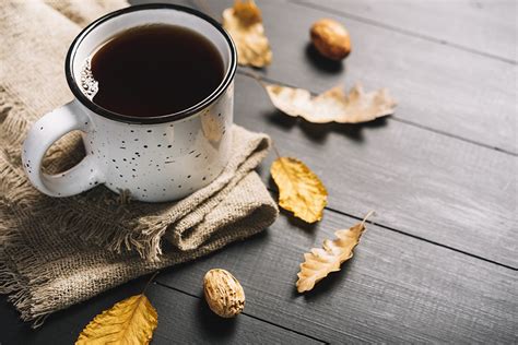 Photos Foliage Coffee Mug Food