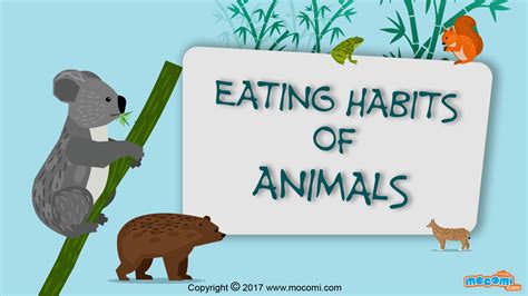 Eating Habits Of Animals For Class 3 Worksheets - Studying Worksheets