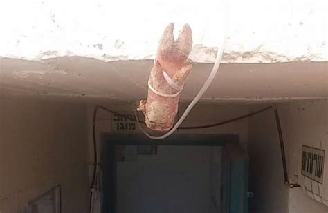 Pig’s foot found in hassidic synagogue in Arad - Israel News - The Jerusalem Post