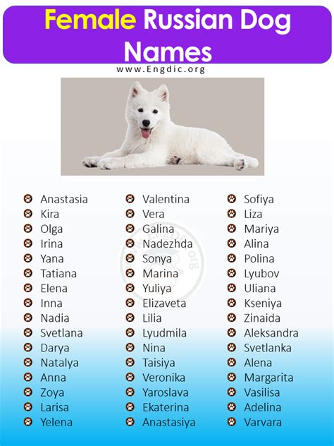 300+ Most Popular Russian Dog Names (Male, Female) - EngDic