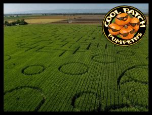 Youth Ministry Outing to COOL PATCH PUMPKINS & CORN MAZE – Trinity Baptist Church