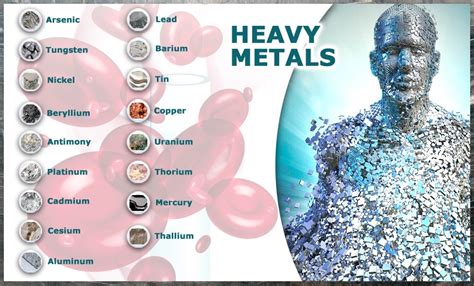 Protección y detoxificación de metales tóxicos en nuestro organismo ...