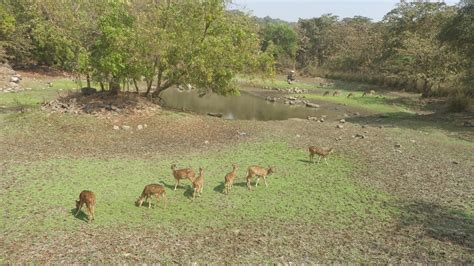 I shoot....: Sanjay Gandhi National Park-Borivali-Mumbai-Maharashtra-India