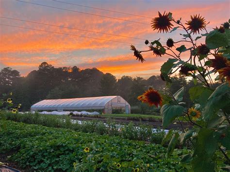 Duke Campus Farm Annual Report 2023 by Duke Campus Farm - Issuu