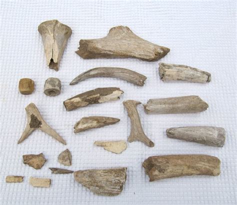 20 bone and antler Neolithic / Ice Age artifacts (20) - Catawiki