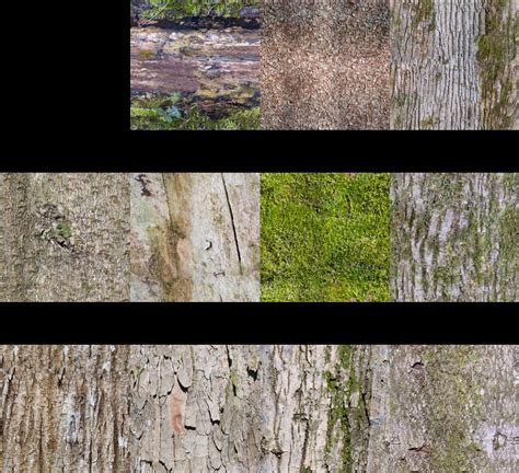 bark textures | Openfootage