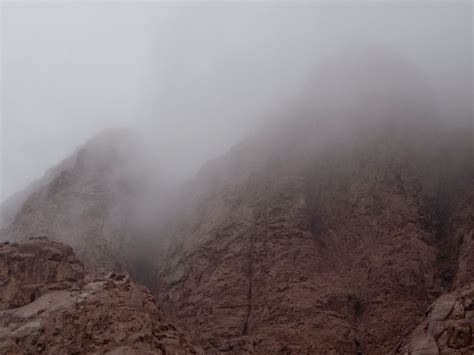 IS THE BURNING BUSH STILL BURNING? — Friends of Mount Sinai Monastery