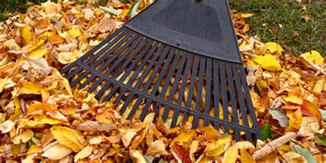 Fall Clean Up Services in Rochester, Michigan | Landscape Design, Brick ...