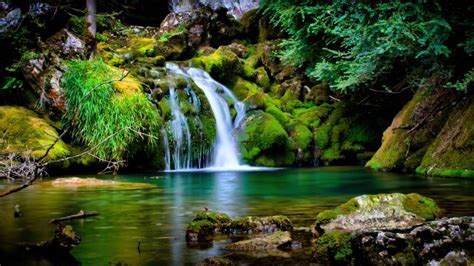 Tropical forest Wallpaper 4K, Waterfall, Green, Landscape