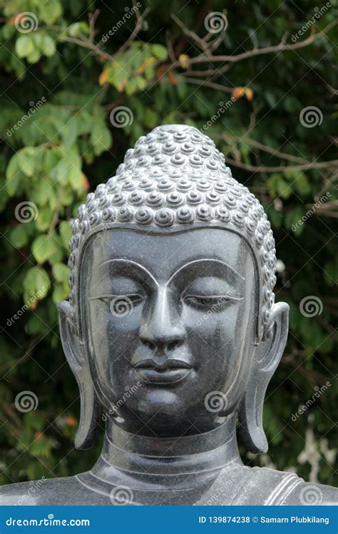 Buddha Statues in Various Postures Stock Photo - Image of carved ...