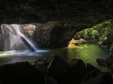 Gondwana Rainforests of Australia World Heritage Area - Attraction - Queensland