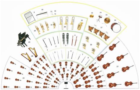 String Orchestra Instruments List Musical instruments things