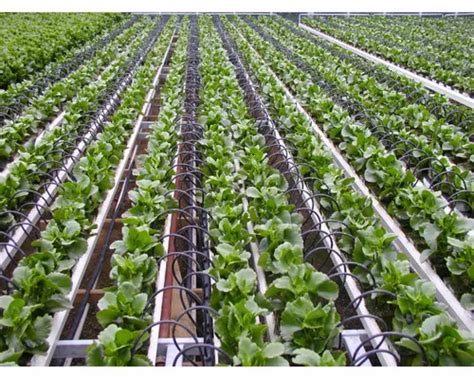 KSNM Cultivation Greenhouse Irrigation System at Rs 2600/piece in ...