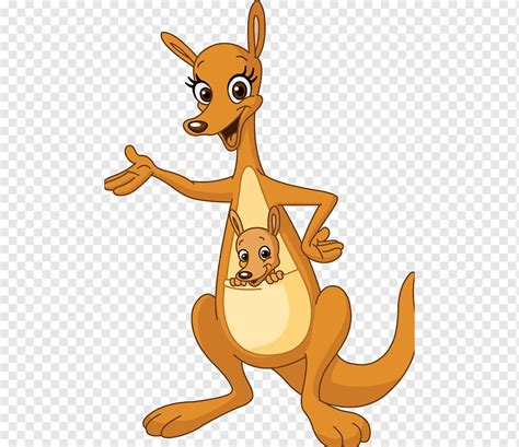 Kangaroo, kangaroo, mammal, animals, cat Like Mammal png | PNGWing