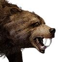 Tamed Bear (Pet) - Official Conan Exiles Wiki