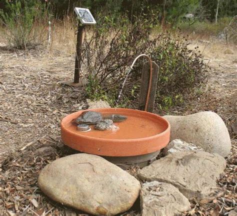 DIY Solar-Powered Fountain Birdbath - petdiys.com