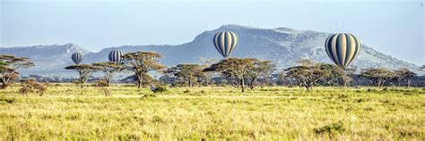 Best Time to Visit Tanzania | Climate Guide | Audley Travel