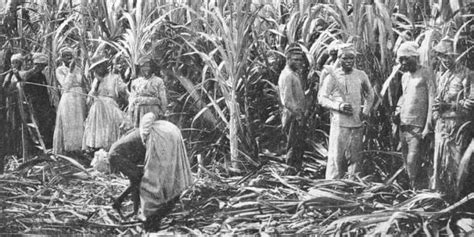 U.S., Cuba play unique roles in abolishing slavery