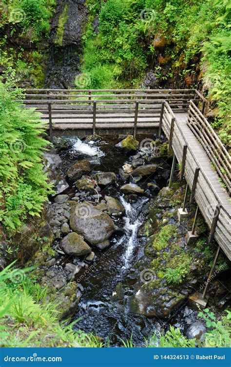 Glenariff Forest Park Waterfall Trail Stock Image - Image of reflection ...