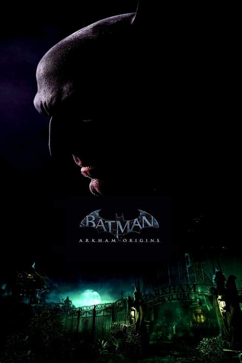 Batman Arkham Origins poster by SteveIrwinFan96 on DeviantArt