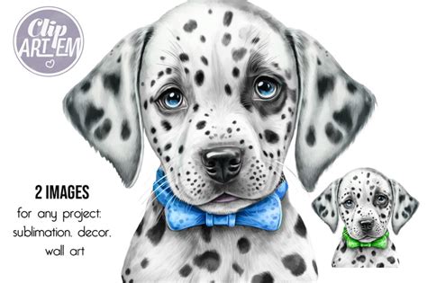 Cute Watercolor Dalmatian Puppy Clip Art Digital PNG Images By ...